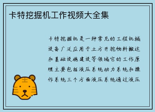 卡特挖掘机工作视频大全集